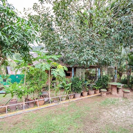 Oyo 75312 Banana Lodge Као Лак Екстериор снимка